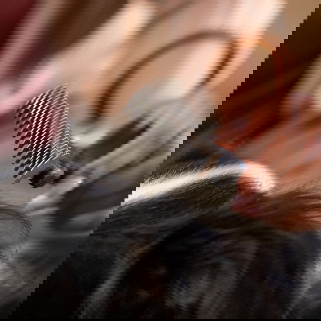 Fiskars pohjavillahara