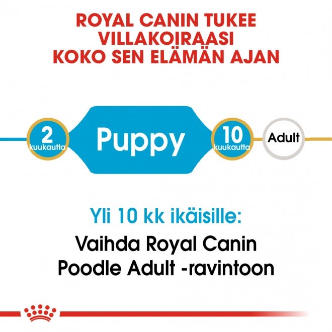 Royal Canin Poodle Puppy 3 kg