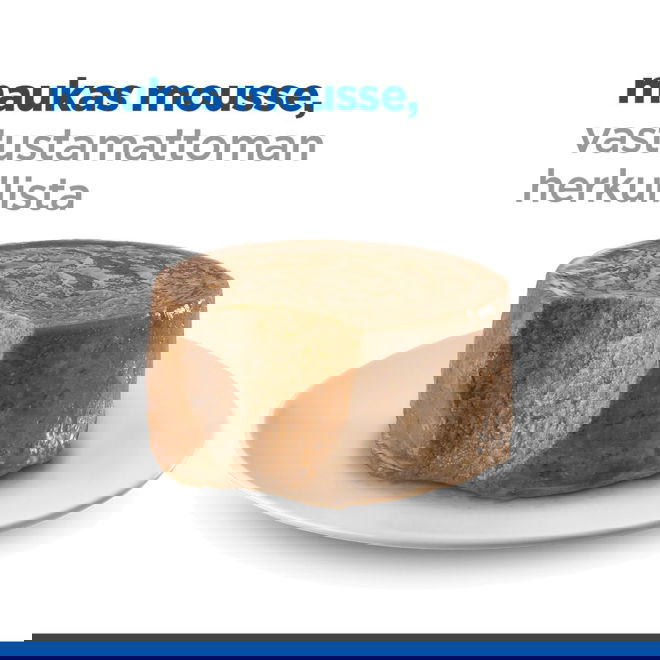 Hills Science Plan Dog Sensitive Stomach & Skin Mousse Small & Mini Turkey 200g