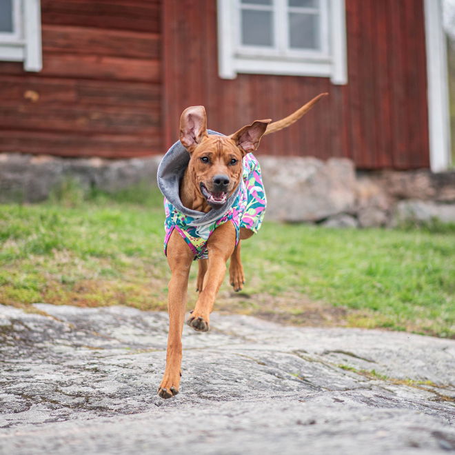 KevytPomppa valjasaukolla, Trail