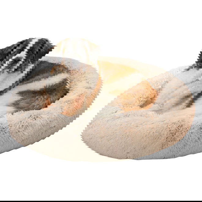 P&ouml;rr&ouml;peti Best Friends by Sheri (XL)