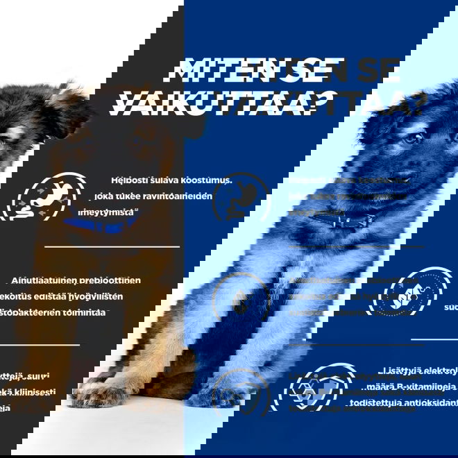 Hills Prescription Diet Puppy i/d wet