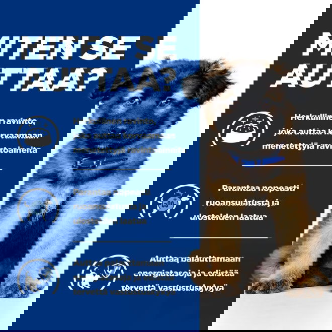 Hills Prescription Diet Puppy i/d