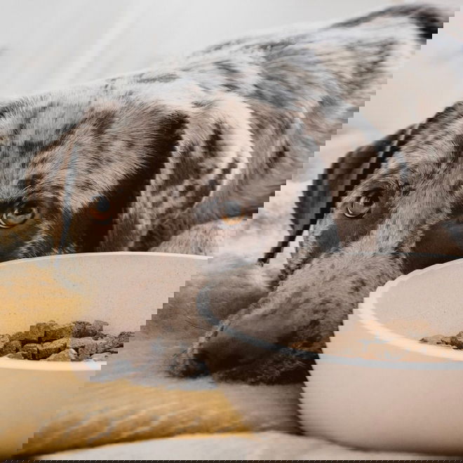 Kuppi District 70 bambu, Beige