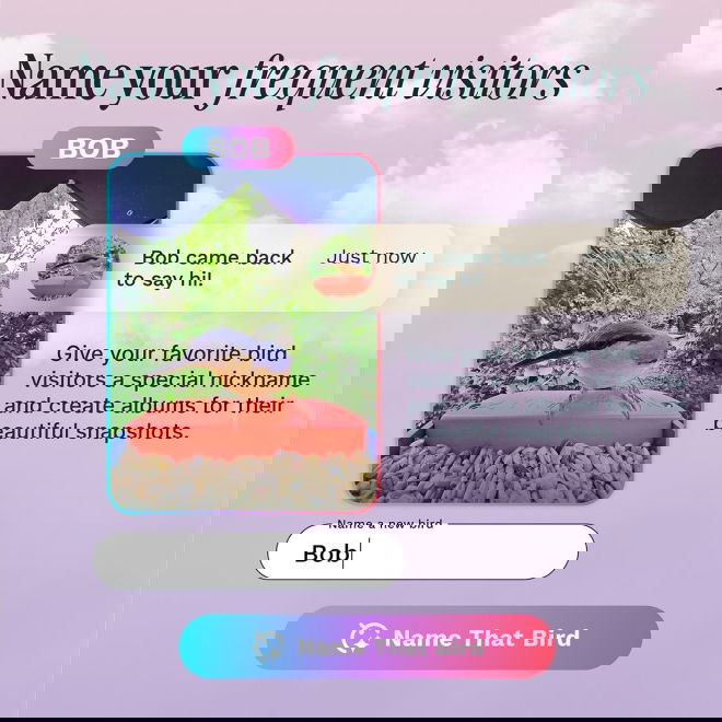 Bird Buddy -lintulauta kameralla