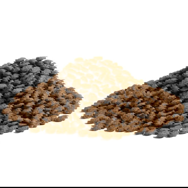 ESSENTIAL BALANCE (2,5 kg)