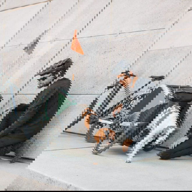 Pyöräkärry koiralle Thule Bexey (M)