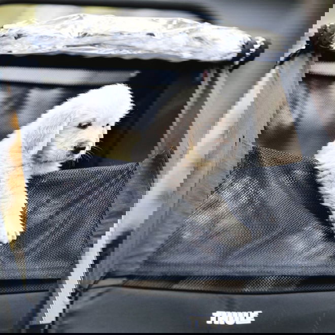 Thule Courier -koirankuljetusk&auml;rry