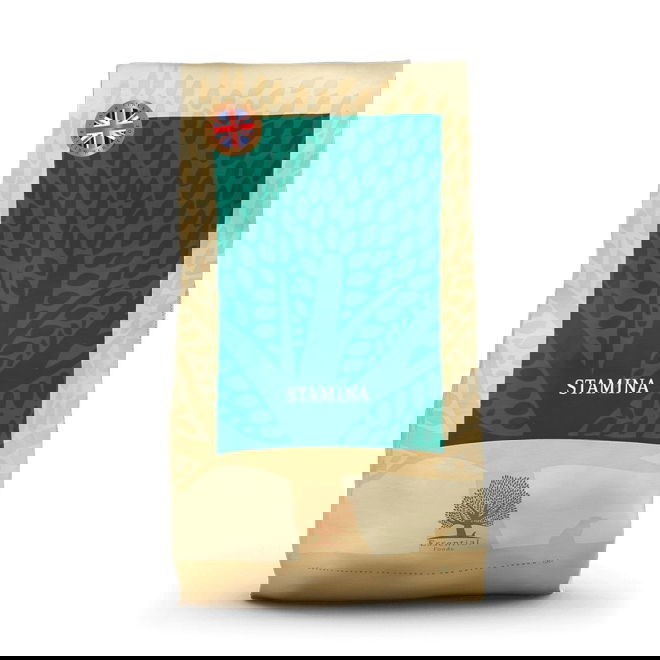 ESSENTIAL STAMINA 10kg