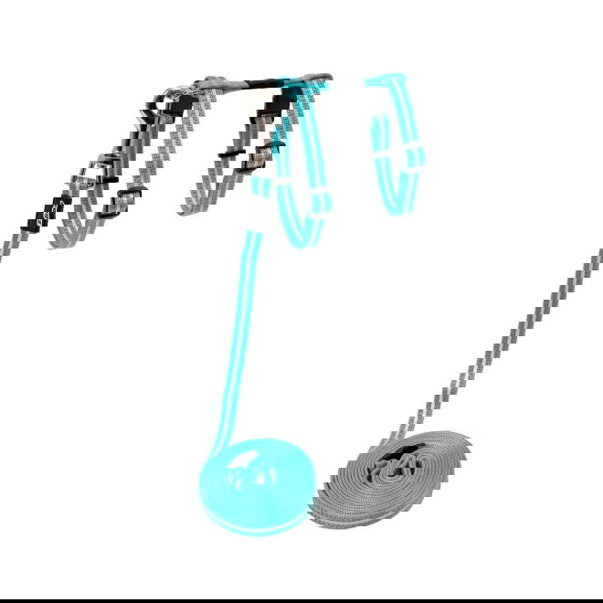 Rogz AlleyCat heijastava valjas-hihnasetti (Turkoosi)