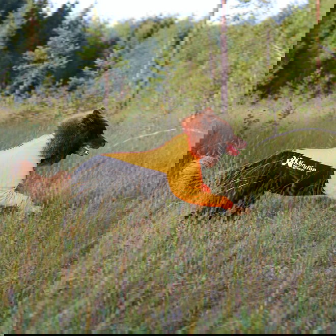 Non-stop dogwear Protector puku, narttumalli