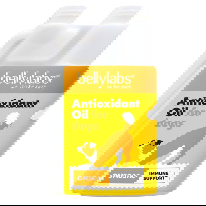 Bellylabs Antioxidantti&ouml;ljy 250 ml