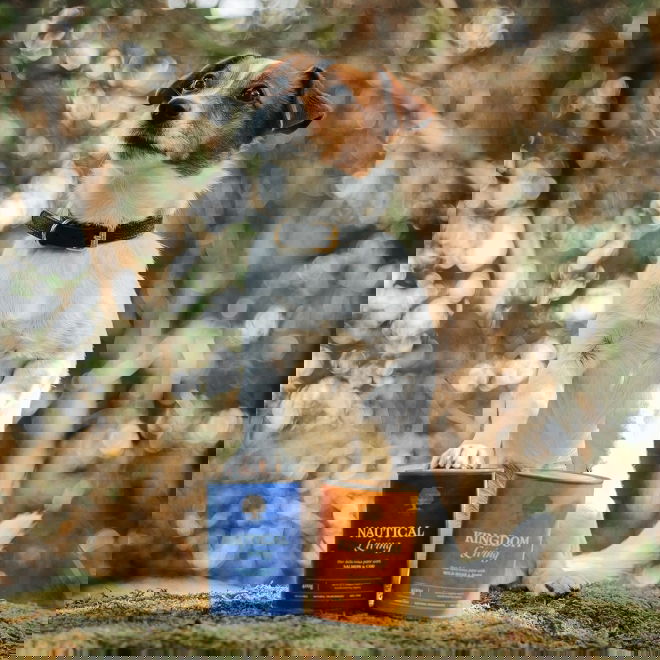 ESSENTIAL KINGDOM LIVING PATÉ 400g