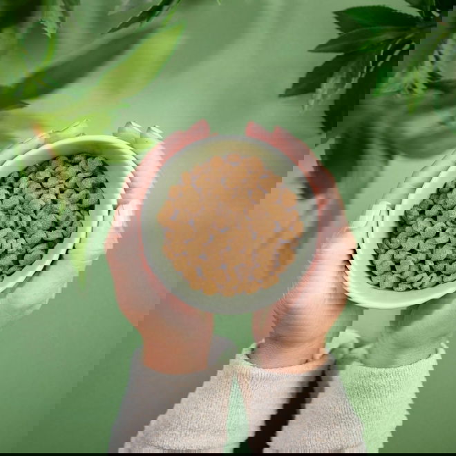 Purenatural Cat Grain Free Sterilised Chicken (10 kg)