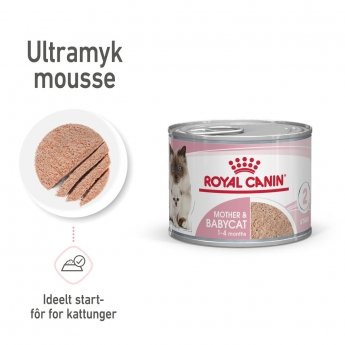 Royal Canin Mother & Babycat Starter Mousse