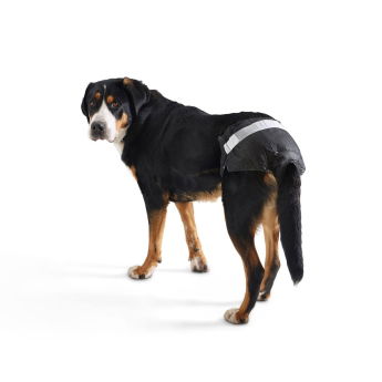 Savic Comfort Nappy Hundebleie