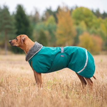 Pomppa Toppa Hundedekken til Sele Blå/Grønn