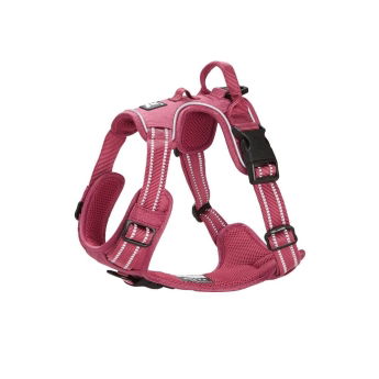 Feel Active Training Hundesele Vinrød