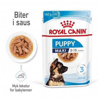Royal Canin Maxi Puppy in Gravy(10x140g)