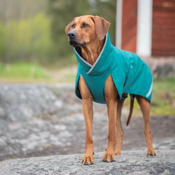 Pomppa Perus Hundedekken til Sele Blå/grønn