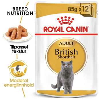 Royal Canin British Shorthair Wet 12x85 g