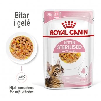 Royal Canin Kitten Sterilised Jelly 12x85 g