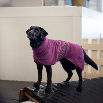 Pomppa Bath Badekåpe til Hund Lilla