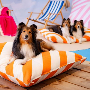 Little&Bigger HotSummer Pute Stripete Oransje