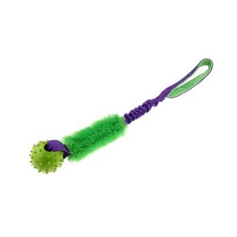 Pro Dog Bungee med taggeball