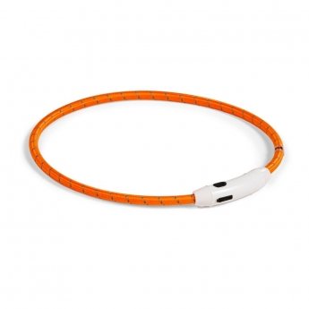 Basic LED-halsbånd til hund Nylon (Orange)