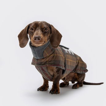 Cloud7 Brooklyn Hundedekken i Dachsmodell i Vokset Tartan