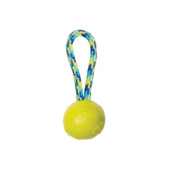 Zeus Fitness TPR-ball med Tauhåndtak