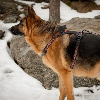 Feel Active Outdoor Hundsele med Lomme Svart