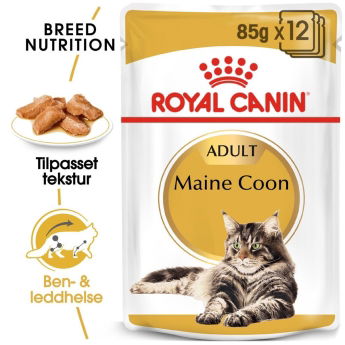 Royal Canin Maine Coon Wet 12x85g