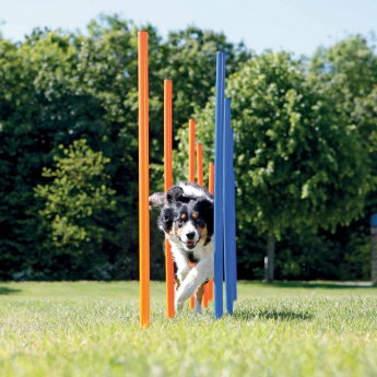 Trixie Agility Slalompinner 12-pack