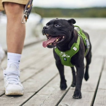 Hurtta Weekend Warrior II ECO Hundesele Grønn