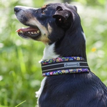 Kusse&Kutta Hundehalsband Lycra Bred Modell Blomster