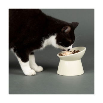 Scruffs Icon Hevet Matskål til Katt Hvit