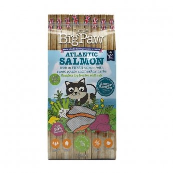 Little BigPaw Salmon 1,5kg