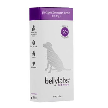 Bellylabs Progesterontest for Tisper