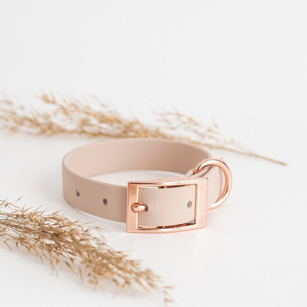 Tyylivoitto Classy Hundehalsbånd Beige (XXS)