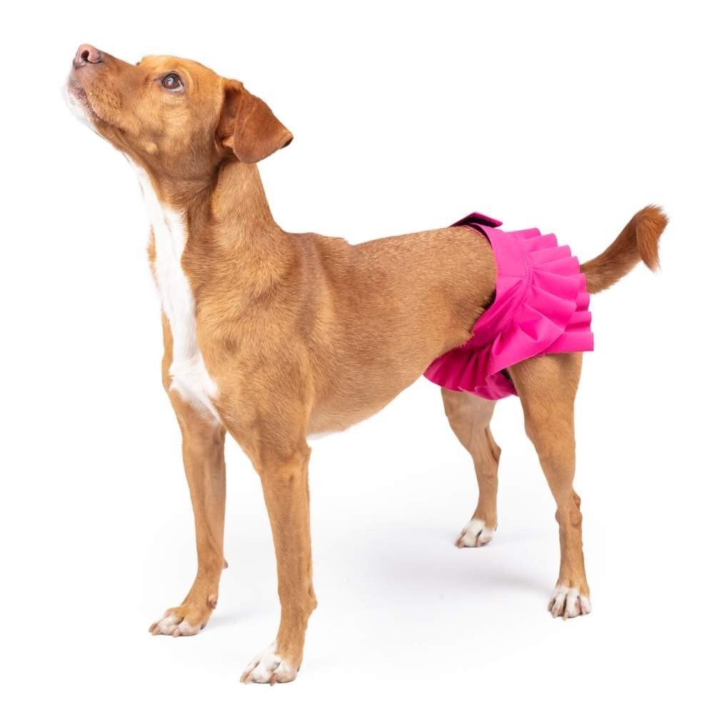 FinNero Ballerina Tispetruse Rosa (L) Hund - Hundehelse - Løpetid & Tispetruser
