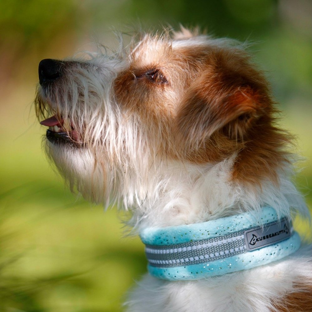 Kusse & Kutta Hundehalsbånd Myk Glitter Lysblå (4)