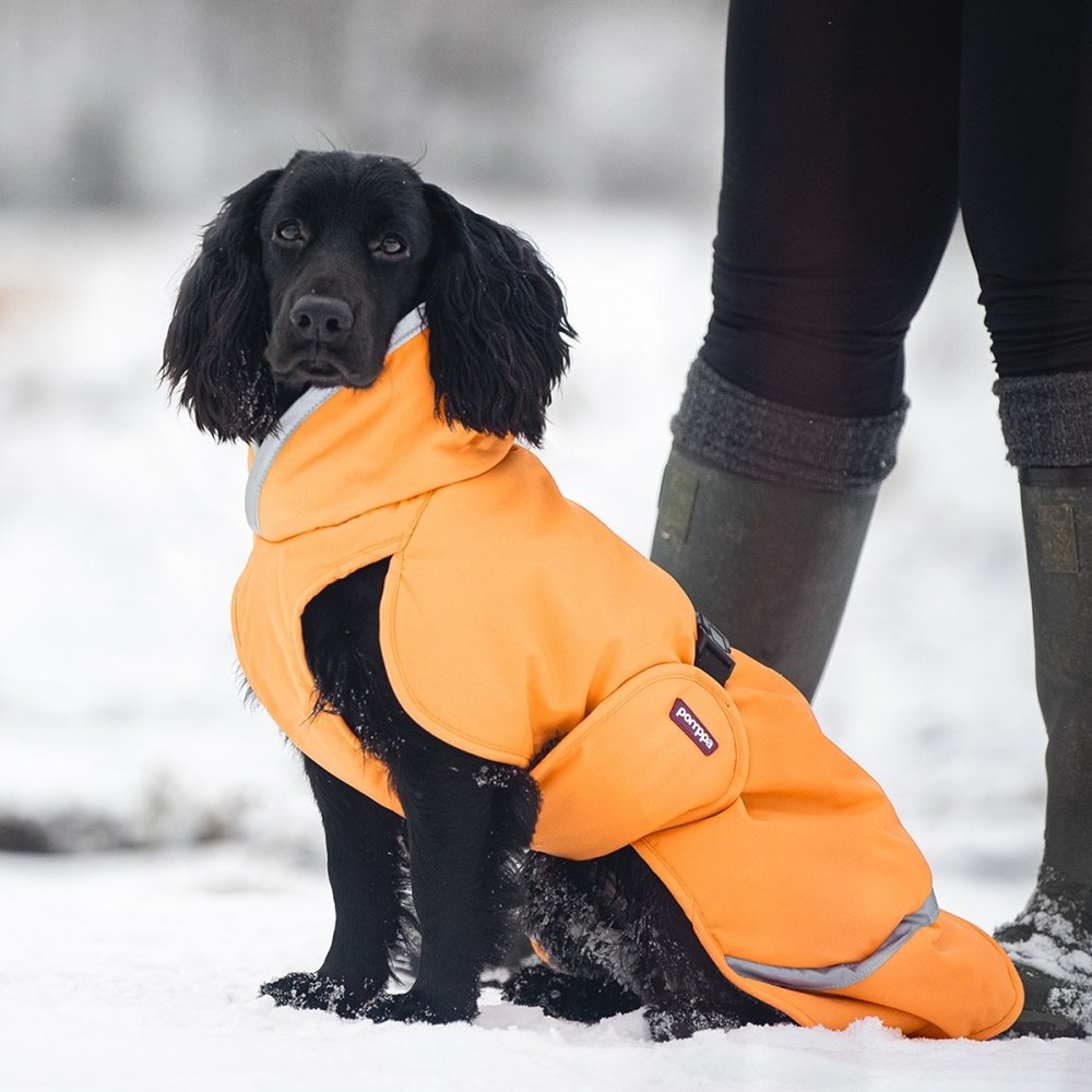 Bilde av Pomppa Toppa Ekstra Varmt Vinterdekken Gul (28 cm) - Alt til hunden