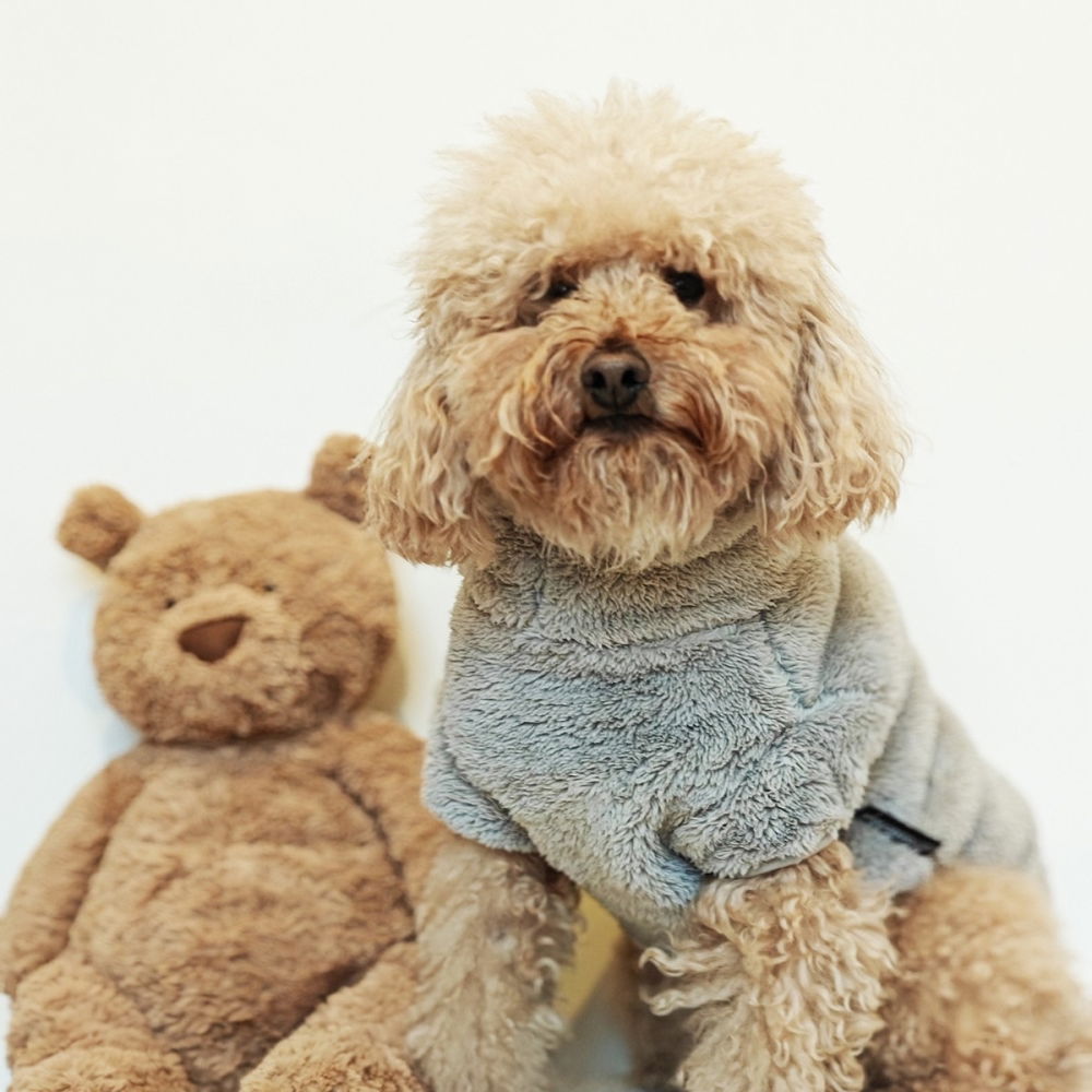 Bilde av 51 Degrees North  Teddy Hundegenser Grå (24 cm) - Alt til hunden