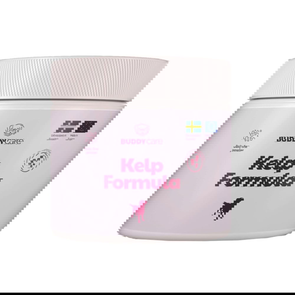 BuddyCare Kelp Formula 250 g