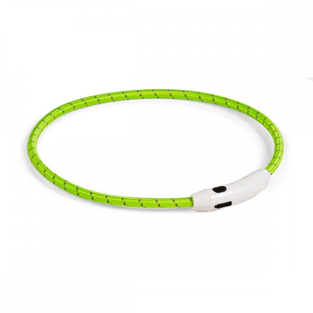 Basic LED-halsbånd til hund Nylon (Grønn) Hund - Hundeutstyr - Hundelys