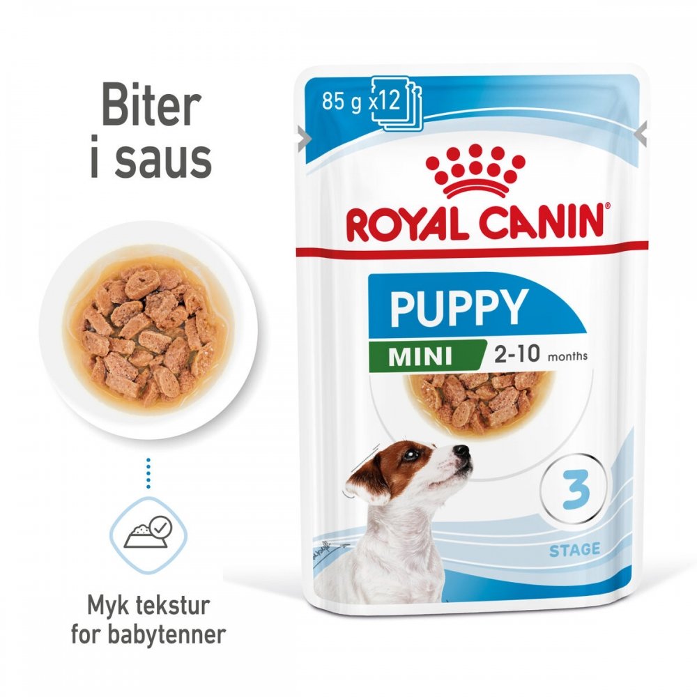 Royal Canin Mini Puppy 12x85g Hund - Hundemat - Våtfôr