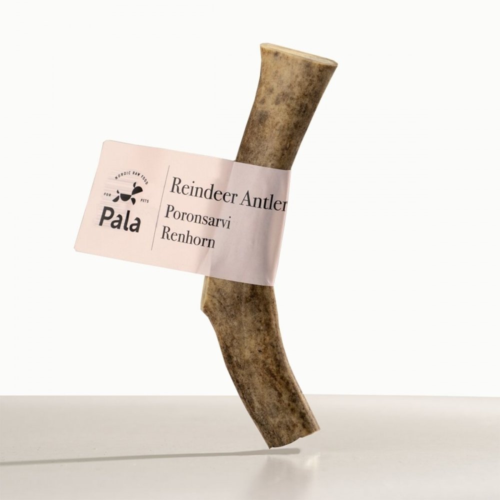 Pala Reindeer Horn (S) Hund - Hundegodteri - Hundebein