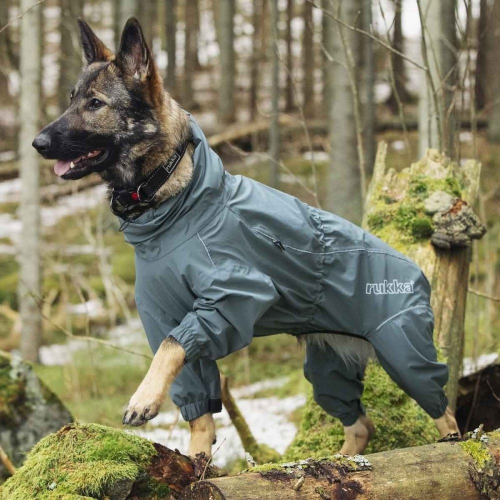 Bilde av Rukka Protect Overall Grå (25 cm) - Alt til hunden